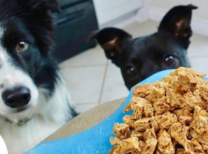 Dog Treats – The Best Dog Treat Recipes Dog Treats - The Best Dog Treat Recipes